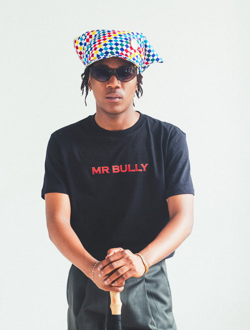 BLACK MR BULLY